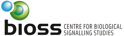 bioss_logo_klein.png